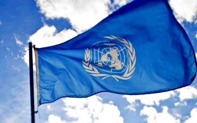 At least 28 UN personnel members were killed in 2019