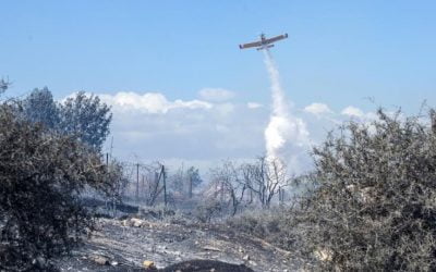 Fires all over Cyprus | The fire service had given a warning