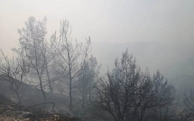 Υπό έλεγχο η φωτιά στην Γιόλου σε εξέλιξη στην Πενταλιά