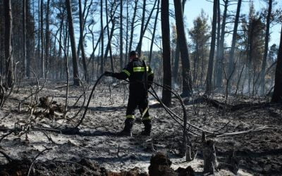 Greece Wildfires | International Aid and European Solidarity
