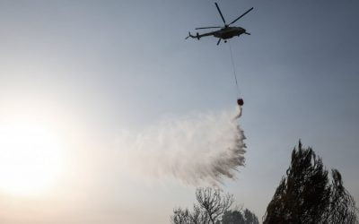 Greece Wildfires | Hellenic Army Aviation Commander resigns