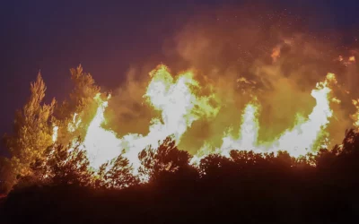 Φωτιά στην Πεντέλη | 485 πυροσβέστες, 120 οχήματα και ομάδες “Δευκαλίων” στη μάχη με τα πύρινα μέτωπα