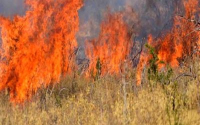Λέσβος | Δασική πυρκαγιά και προληπτική εκκένωση των Βατερών