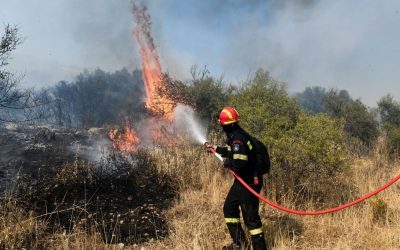 Τμήμα Δασών | Υπό πλήρη έλεγχο δασική πυρκαγιά παρά τη κοινότητα Κελλιά