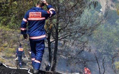 Τμήμα Δασών | Ιστορικά η καλύτερη χρονιά  σε ότι αφορά τις πυρκαγιές εντός της ζώνης ευθύνης του