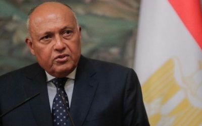 Egypt | Foreign Minister visits Turkey and Syria after a decade