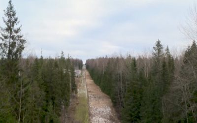 Finland | Construction of a 200 km fence on the border with Russia because of immigration