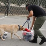 Κύπρος | Οι εκπαιδευμένοι σκύλοι Κ9 του Τμήματος Φυλακών – Φωτογραφίες
