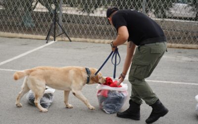 Κύπρος | Οι εκπαιδευμένοι σκύλοι Κ9 του Τμήματος Φυλακών – Φωτογραφίες