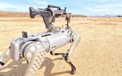 China | Rifle-toting robotic dogs in military exercise with Cambodia