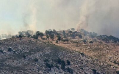 Πυροσβεστική | Ενημέρωση για τις πυρκαγιές σε Κω, Χίο και Ηράκλειο – Επίγειες και εναέριες δυνάμεις στα μέτωπα